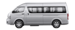 Pairs Disney Transfer