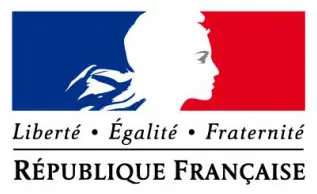 Paris disny transfer